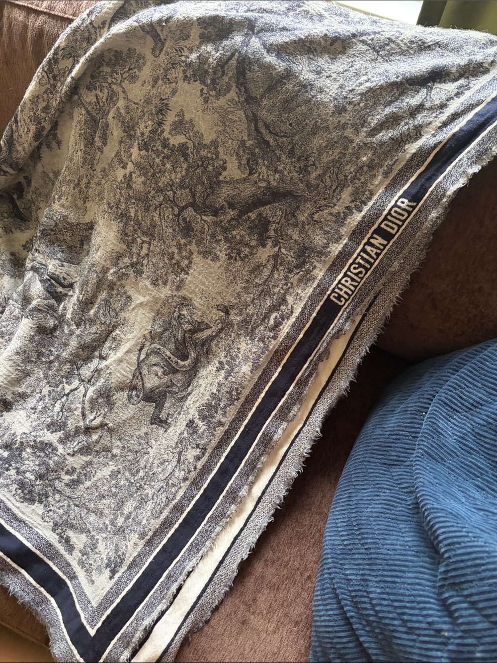 Dior Wool Scarf - Blue/White Accent